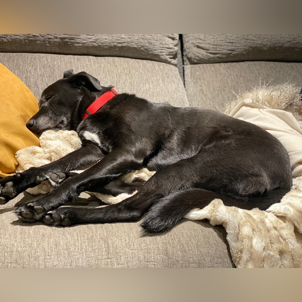 *We are LIVE!! Come join the fun!! - Picture 12 of 13